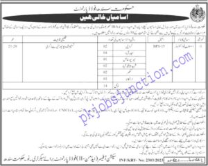 Sindh food authority jobs 2023 online apply