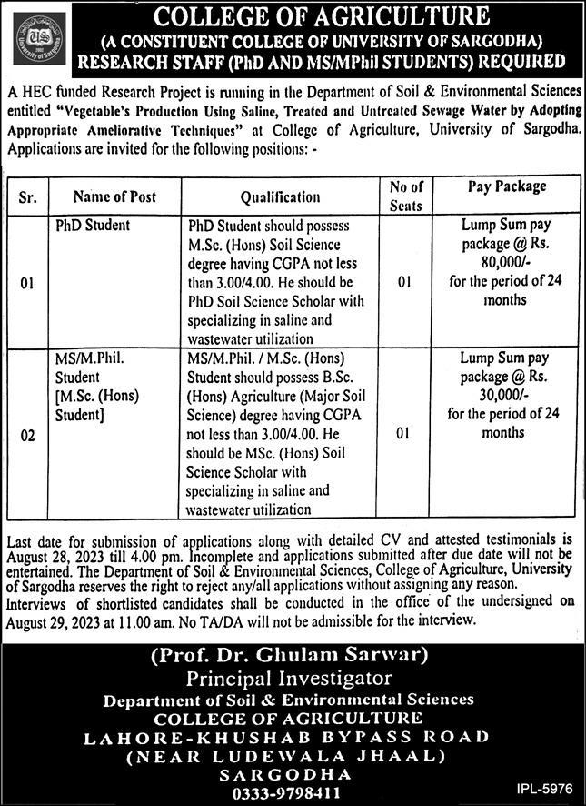 College Of Agriculture University Sargodha Jobs 2023