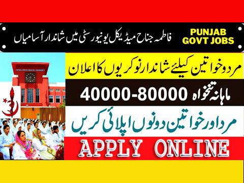 Fatima Jinnah Medical University Lahore Jobs 2023