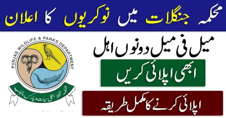 Forest Department Muzaffarabad Job 2023