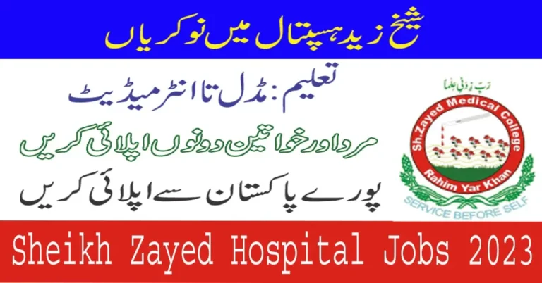 Sheikh Zayed Hospital Rahim Yar Khan Jobs 2023