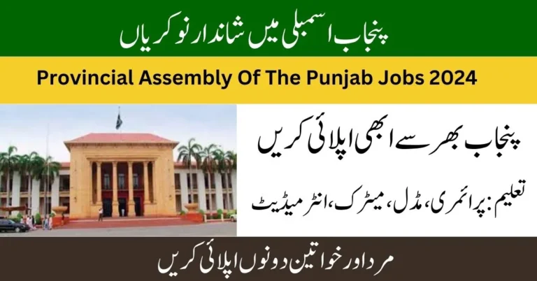 Provincial Assembly Of The Punjab Jobs 2024