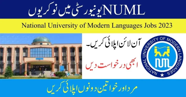 National University of Modern Languages Jobs 2023