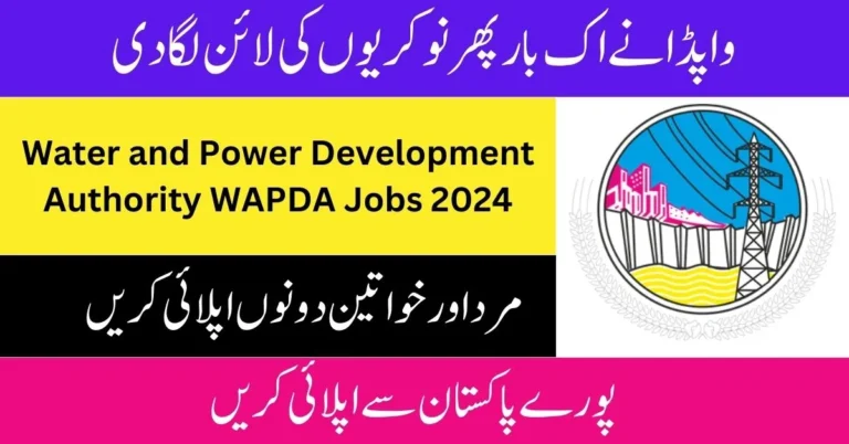 WAPDA Jobs 2024 For Director and Deputy Director