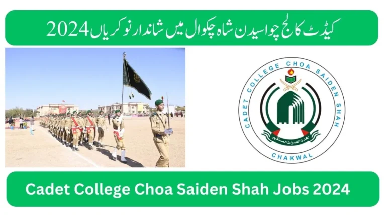 Cadet College Choa Saiden Shah Chakwal Jobs 2024