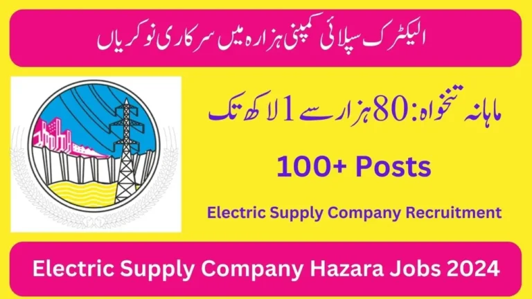 Electric Supply Company Hazara Jobs 2024