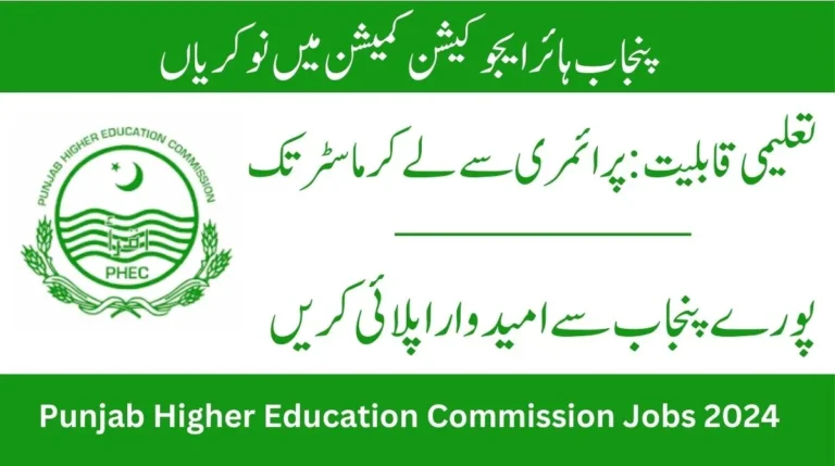 Punjab Higher Education Commission Jobs 2024