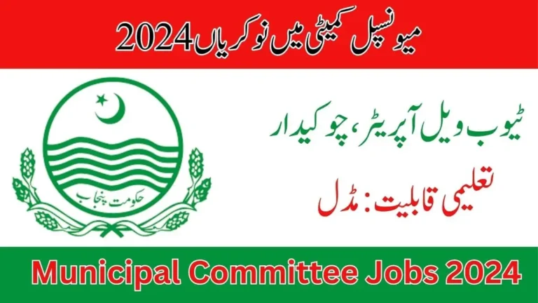 MC Shahpur Saddar Jobs 2024