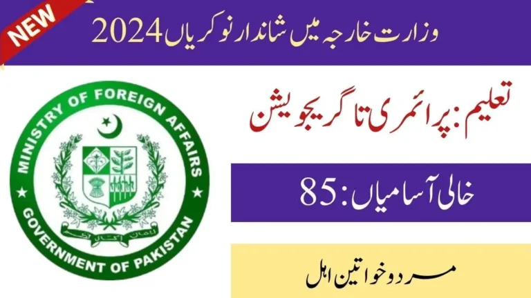 Ministry of Foreign Affairs Jobs 2024