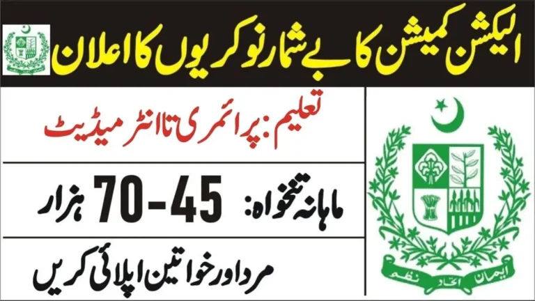 Punjab ECP jobs 2024