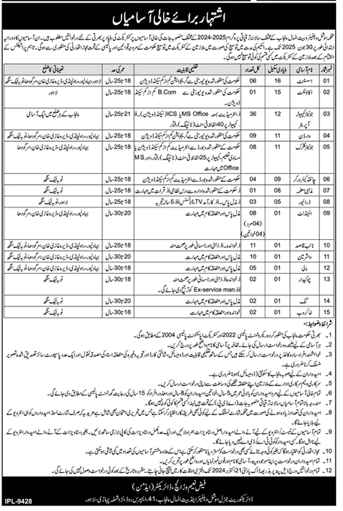 Social Welfare and Bait-ul-Maal Punjab Jobs 2024