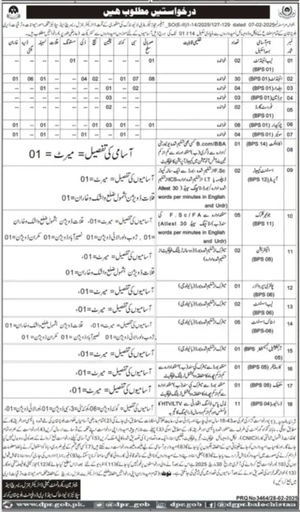 Livestock & Dairy Development Department Quetta Jobs 2025