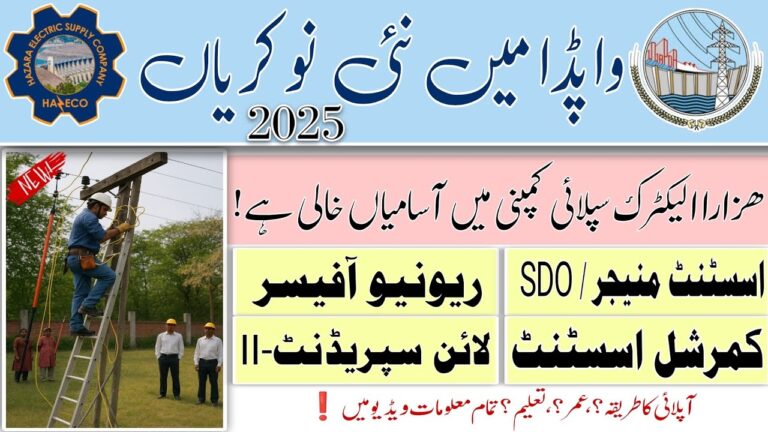 Hazara Electric Supply Company HAZECO Jobs 2025