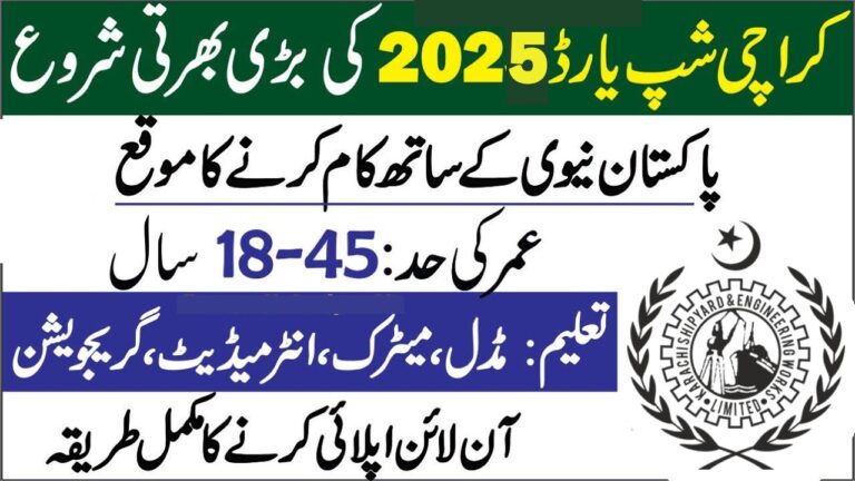KSEW Paid Internship Program 2025
